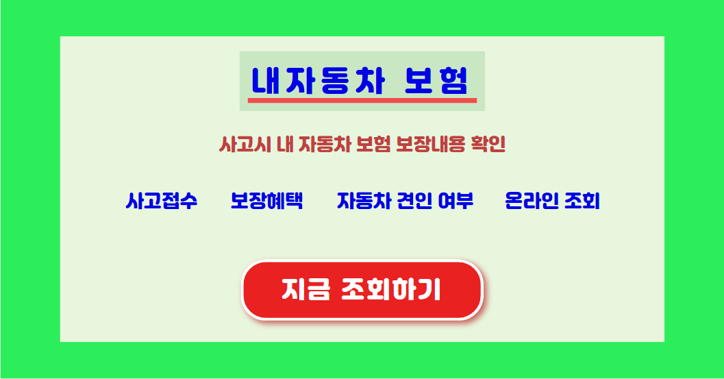 내 자동차보험 조회하기