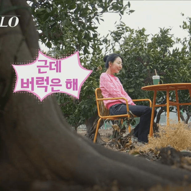 나는-솔로-15기-직업