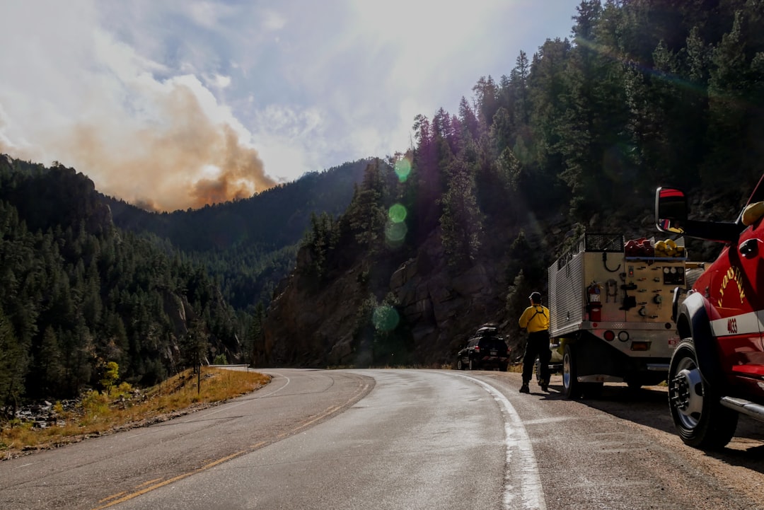 Wildfire