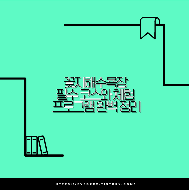 꽃지해수욕장 필수 코스와 체험 프로그램 완벽 정리