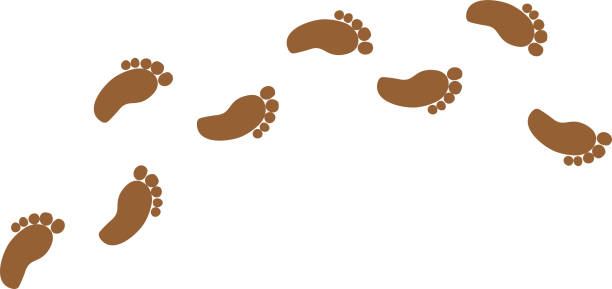 맨발 걷기 주의점 사진