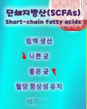포스트바이오틱스의 대표 산물 단쇄지방산들