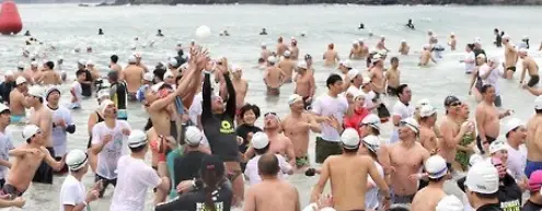 해운대 북극곰 수영대회 일정&middot;참가신청