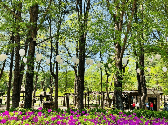 가평 가볼만한 곳 베스트10