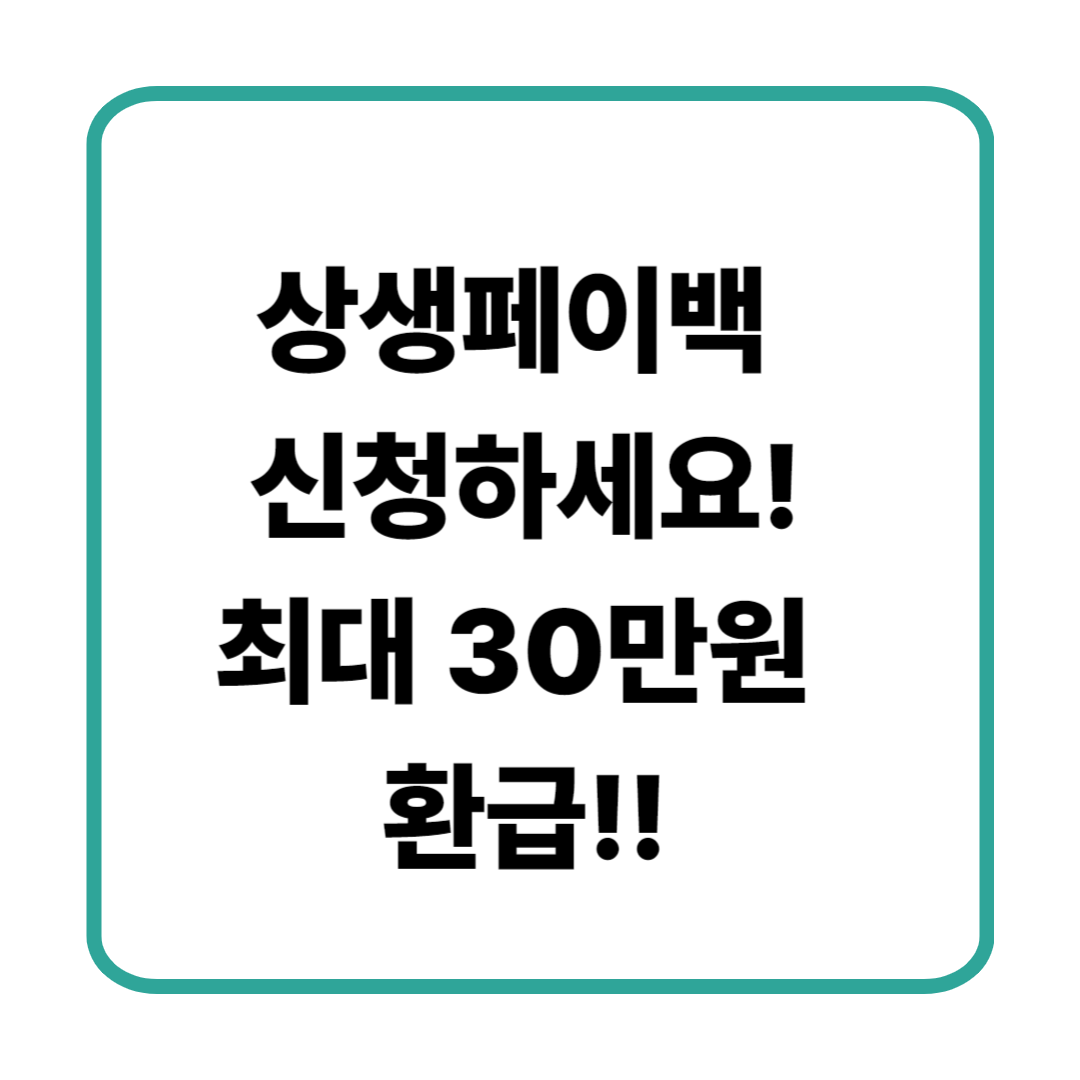 상생페이백