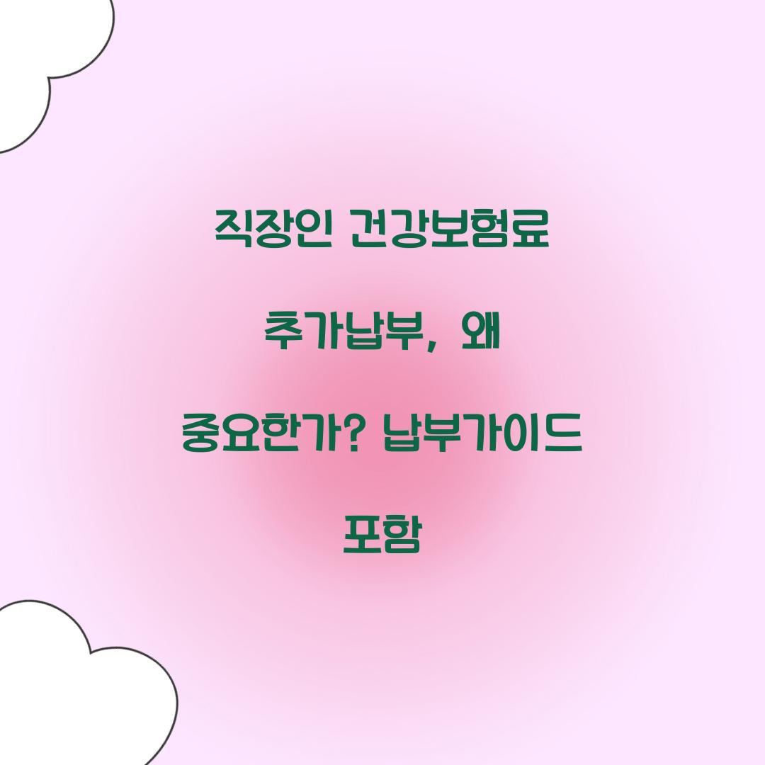 직장인 건강보험료 추가납부