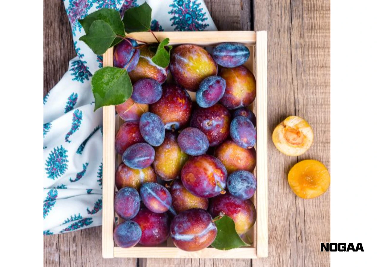 강아지가 피해야 할 과일과 이유