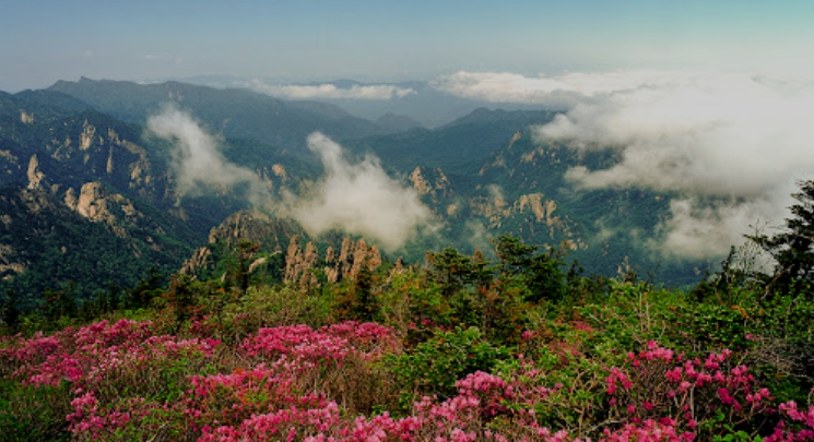 설악산-봄