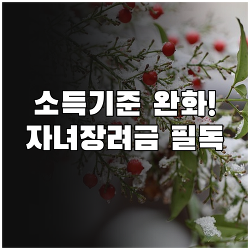 2026 자녀장려금 소득 기준 완화 ..