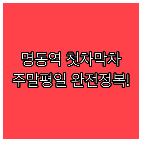 명동역 첫차 막차 시간표 평일과 주말..