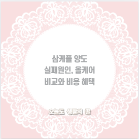 삼케플 양도 실패원인, 올케어 비교와 비용 혜택