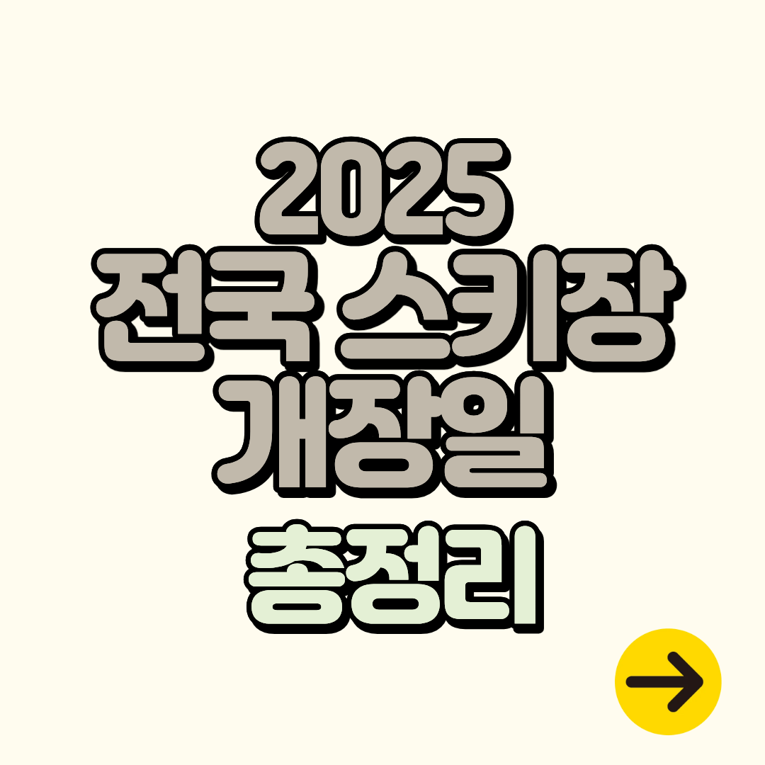 2025 전국 스키장 개장일 언제? 휘닉스, 비발디파크, 하이원, 곤지암 등 총정리