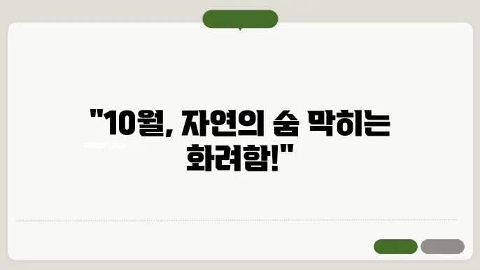 10월에 피는 꽃