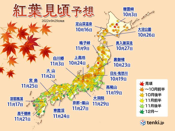전국 미세먼지 농도 조회 사이트
