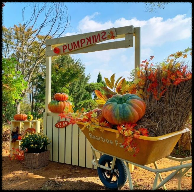 세종 베어트리 파크 단풍축제: 가이드 및 추천 코스