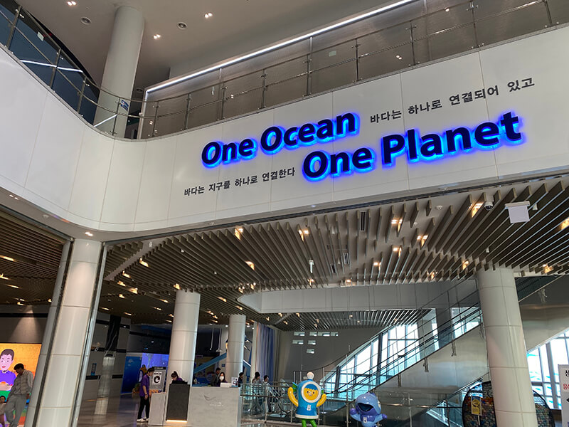 One Ocean, One Planet. 국립해양과학관 입구 로비