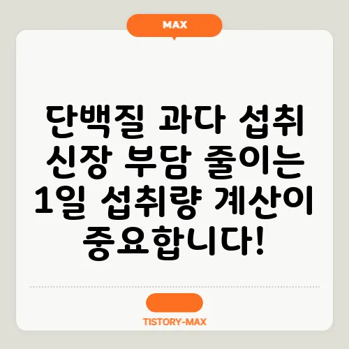 단백질 과다 섭취 신장 부담 줄이는 1일 섭취량 계산이 중요합니다!
