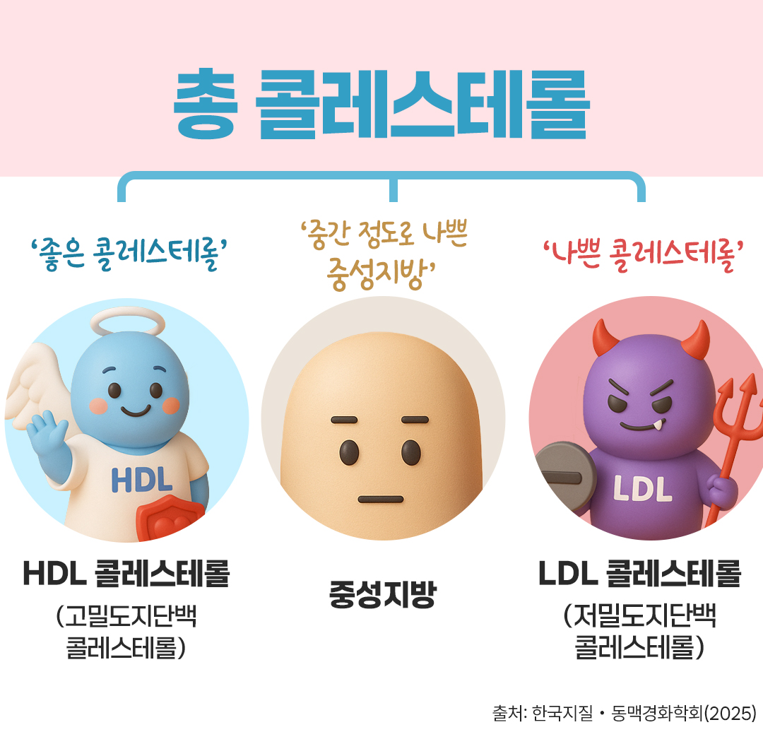 #콜레스테롤의 종류