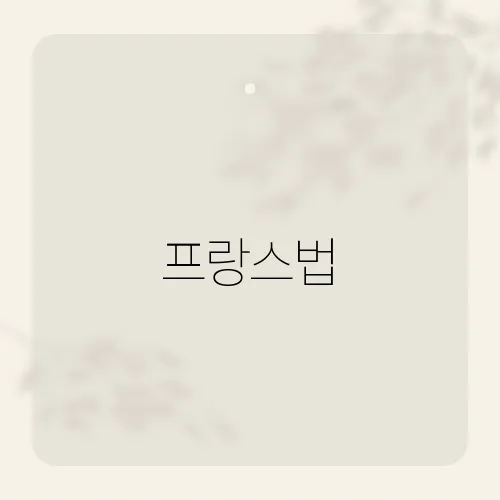 프랑스법, 새 규제에 숨은 맹점?