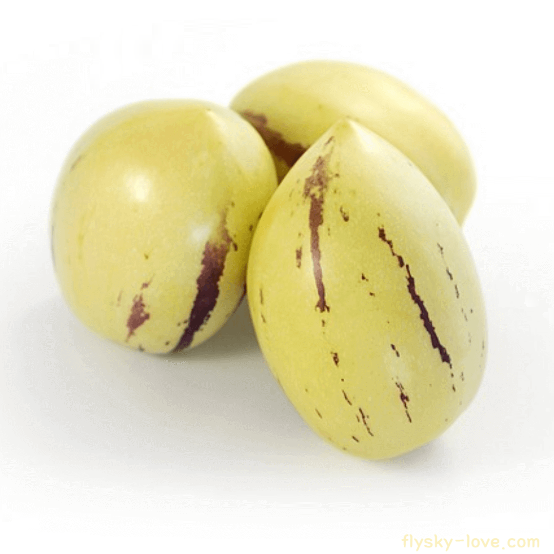 페피노 (Pepino) 활용법