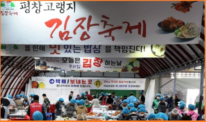 평창고랭지김장축제 김치 담그는 모습