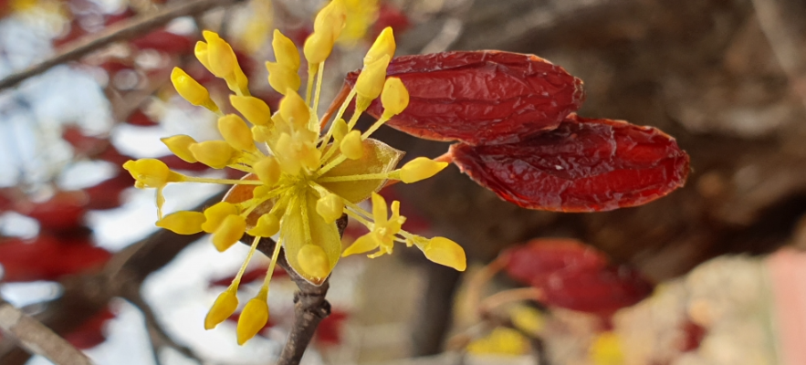 경기도 청소년 교통비 지원