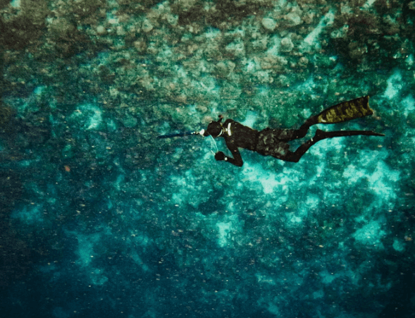 세부 다이빙 완벽 가이드: 초보부터 베테랑까지