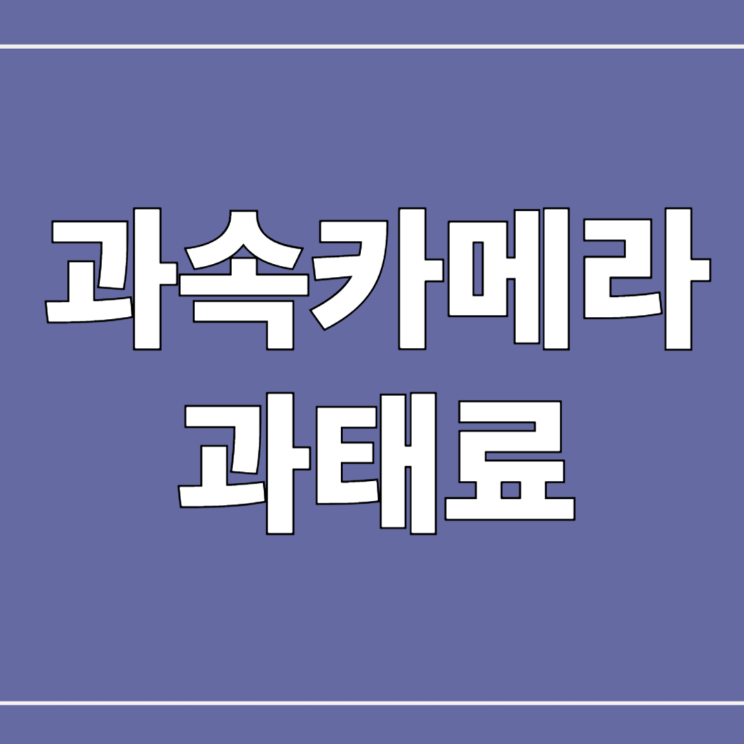 과태료 조회