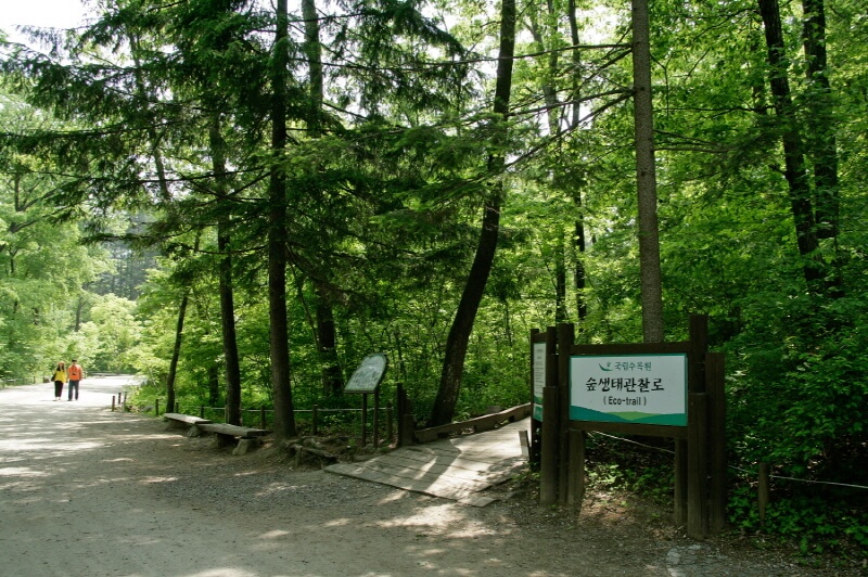 포천 국립수목원 광릉수목원 예약