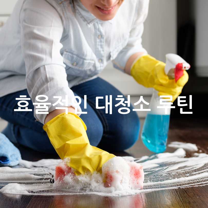 봄맞이 대청소 팁 &amp; 진드기 제거 팁