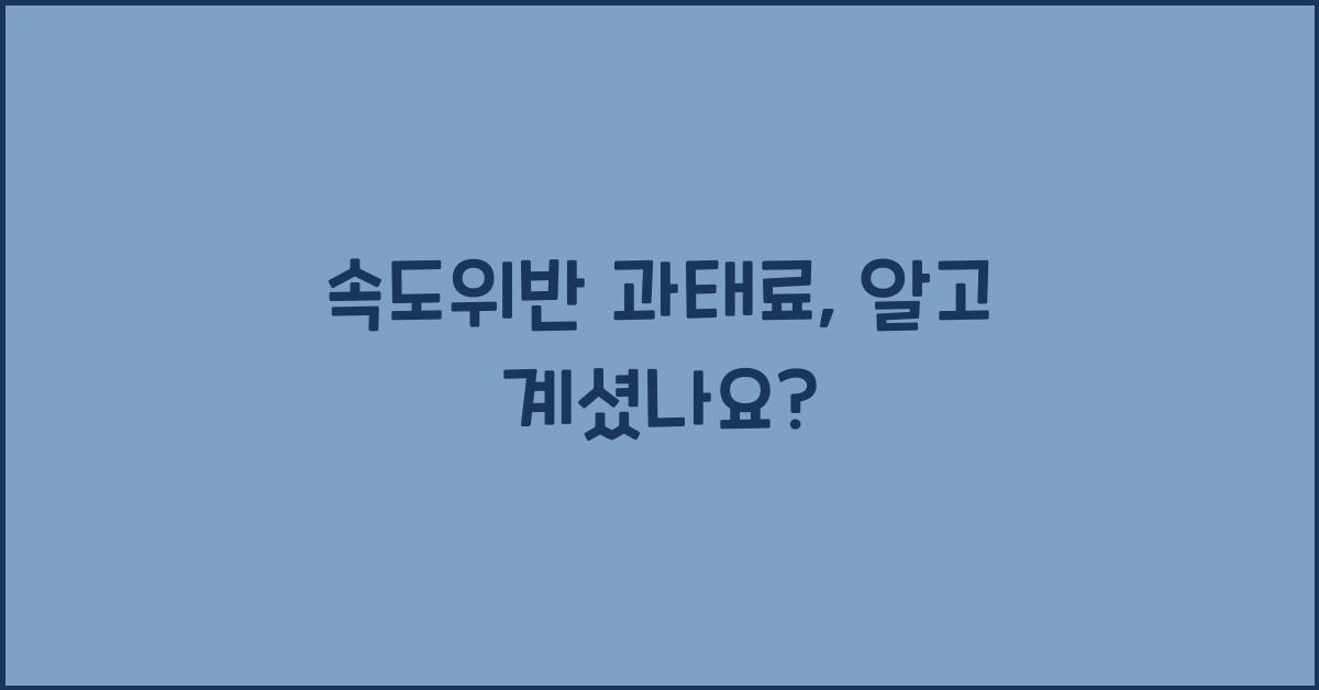 속도위반 과태료