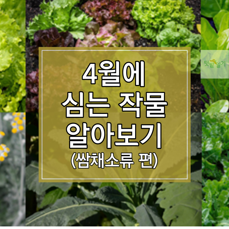 4월에 심는 작물