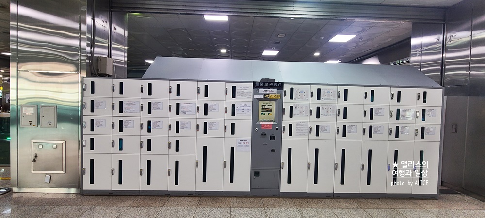 부산시티투어버스 모든 것: 요금, 할인, 코스, 시간표, 출발장소, 추천장소