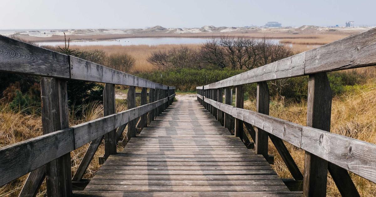 person happily using AI writing tool on laptop, generating blog post ideas