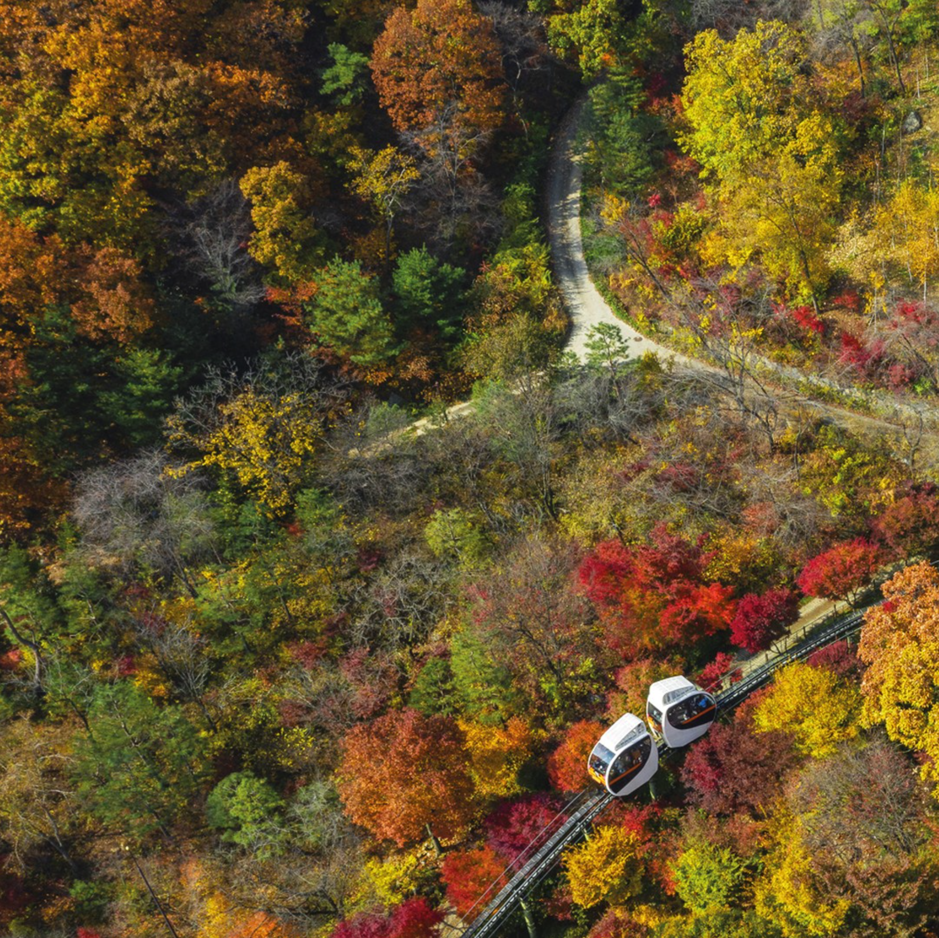 화담숲의 가을단풍