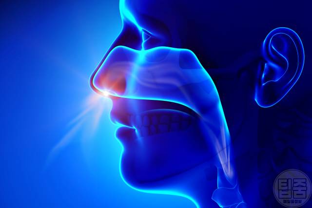 코막힘 뚫는법 코막힘에 좋은음식