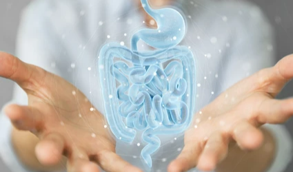 염증성 장 질환