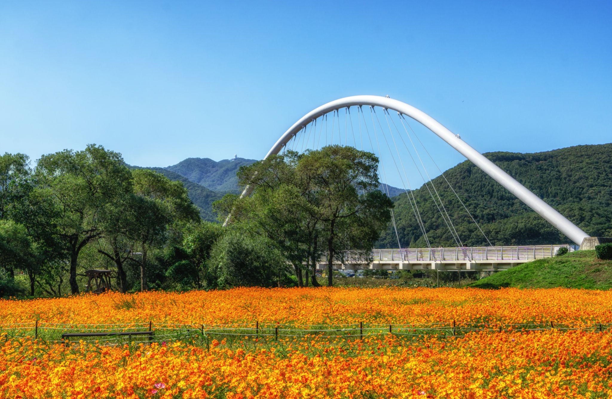 남양주 물의 정원 완벽 가이드: 북한강변에서 만나는 수생식물과 계절 꽃의 향연