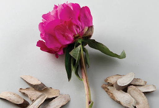 작약효능 총정리