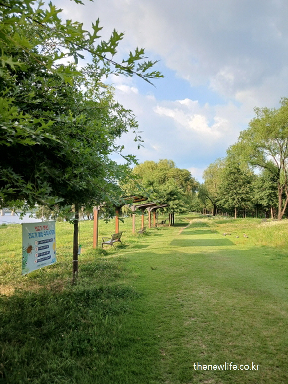 서울 암사생태공원 걷기 좋은 길 &ndash; 잔디 위로 펼쳐진 초록빛 산책 공간