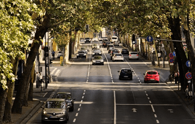 고령운전자 운전면허 반납 제도 알아보기