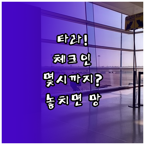 타이라이언에어 온라인체크인 시간 및 ..