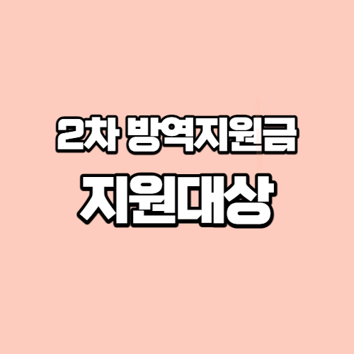 2차 방역지원금 (8)