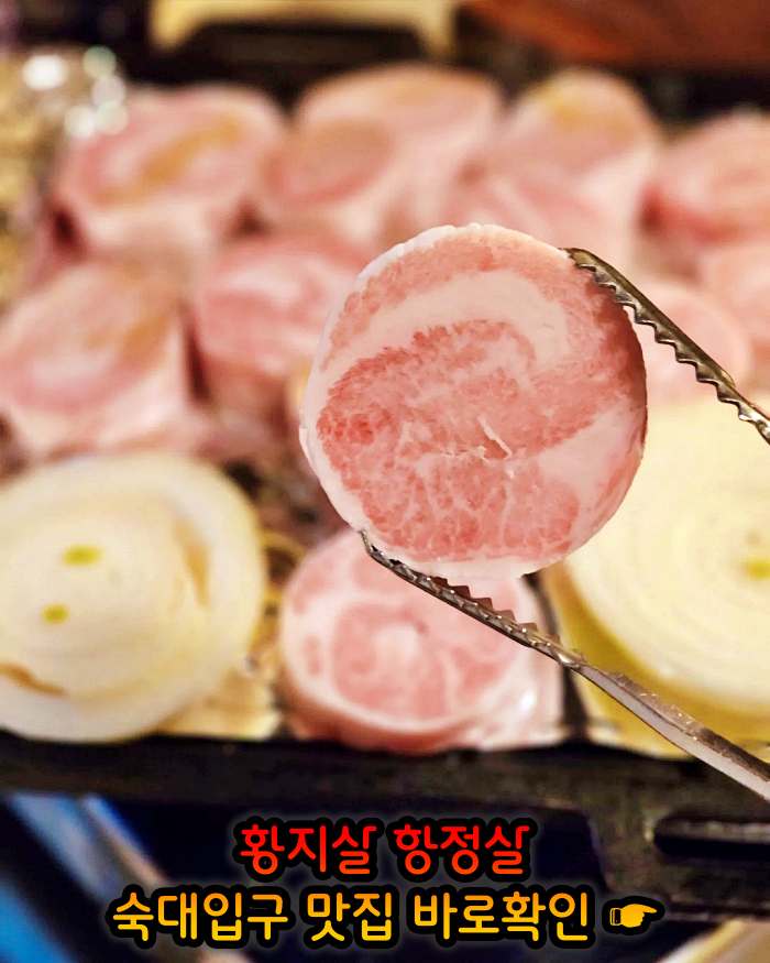 숙대입구 남영동 맛집 황지살, 오도독갈비, 항정살