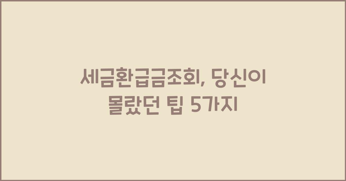 세금환급금조회