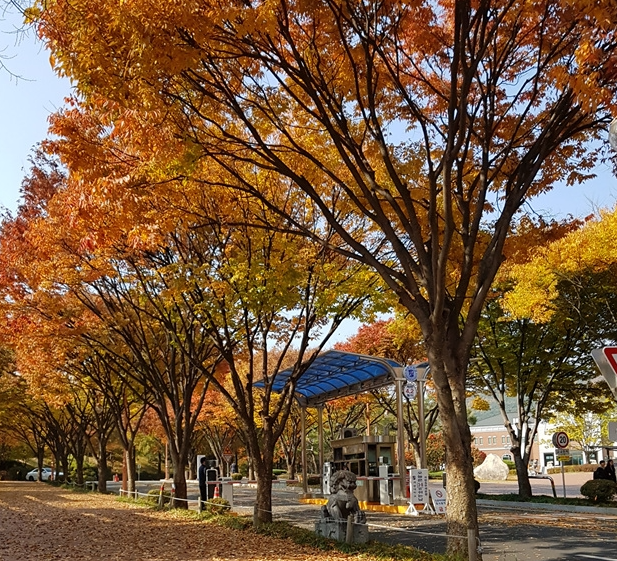 계명대학교 성서캠퍼스2
