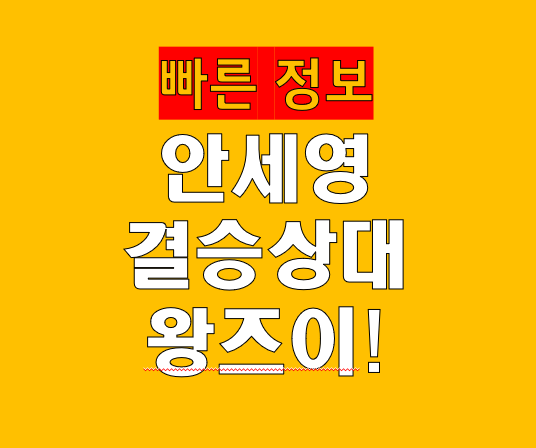 안세영 결승 상대는 &lsquo;7전 7패&rsquo; 왕즈이&hellip;시즌 최종전 운명의 맞대결