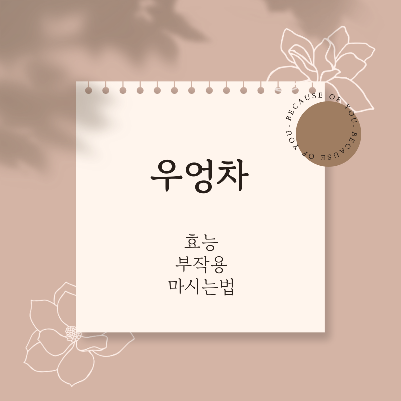 우엉차 썸네일