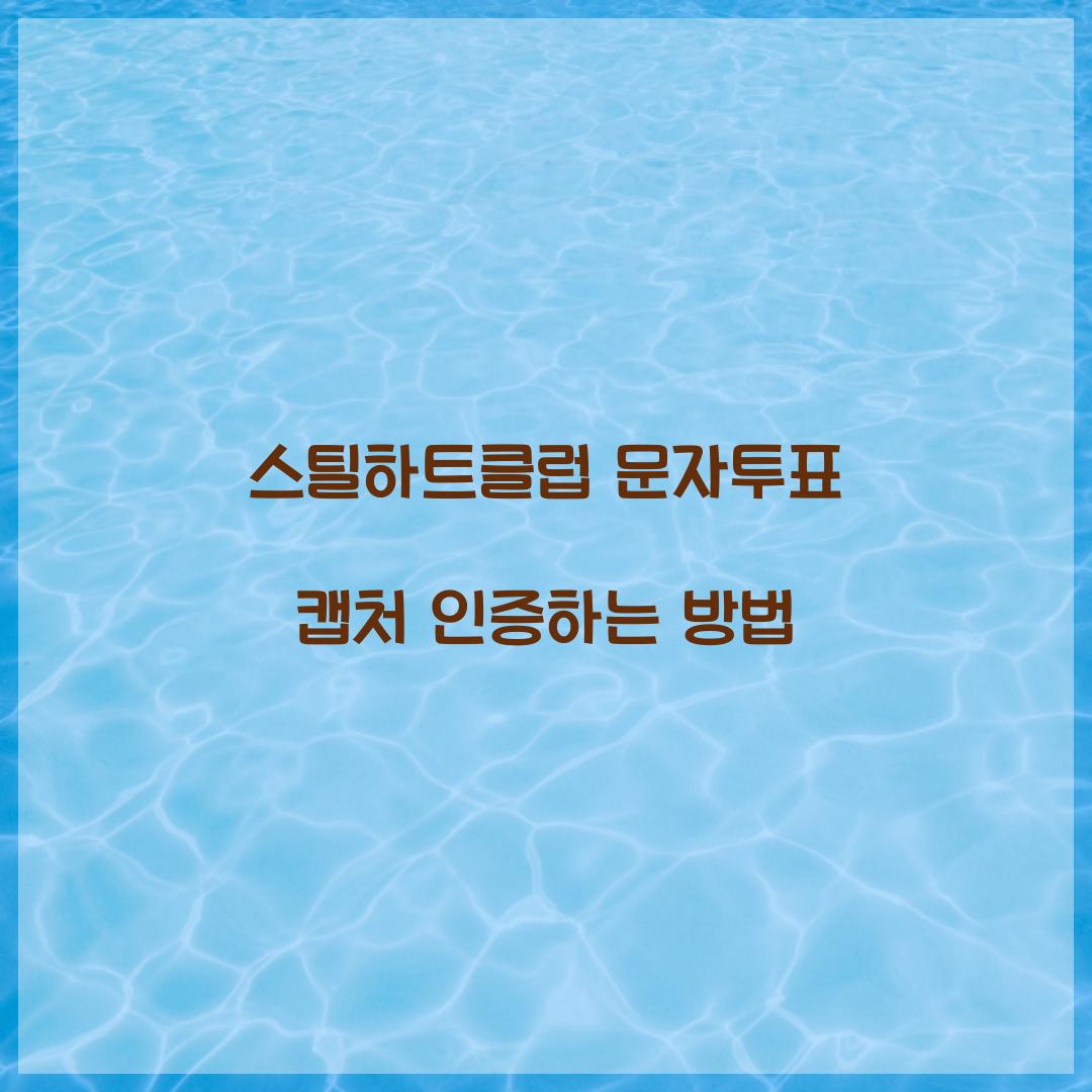 스틸하트클럽 문자투표 캡처 인증하는 방법  