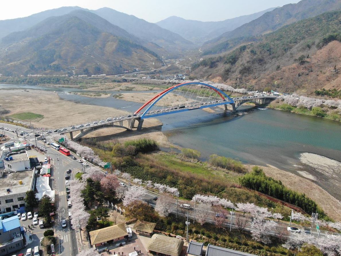 하동 벚꽃 CCTV 